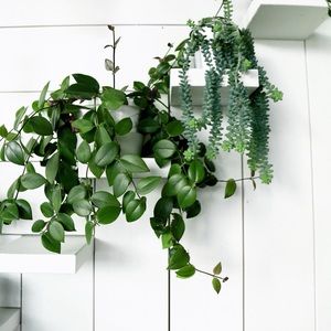 Meet your Posher, Jolene